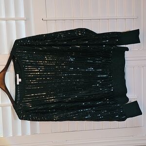 Chico's Green (Enchanted Forrest)  Sequin Sweater